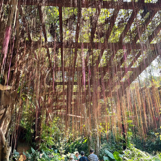 🌿 Escape into Nature at Qingxiu Mountain, Nanning (南宁青秀山)
