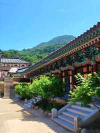 자연과 고찰이 어우러진 풍경 명소, 합천 해인사