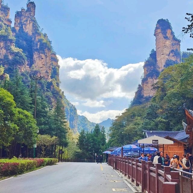  🏞️ 장가계 할렐루야산 – 아바타 공원