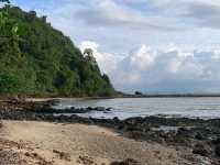 A Hidden Green Escape – Hutan Simpan Renggam Awaits