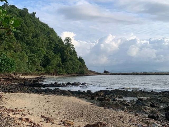 A Hidden Green Escape – Hutan Simpan Renggam Awaits