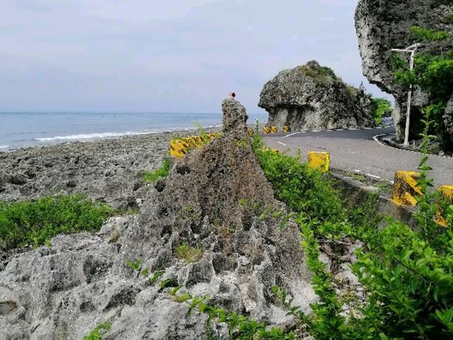 🌊 小琉球地標打卡｜花瓶岩 Vase Rock，一秒認出的奇岩守門員！