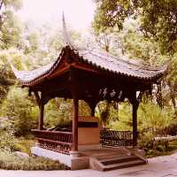 Du Fu Thatched Cottage Museum: A Poetic Journey Through Tang Dynasty China** 🌿📜