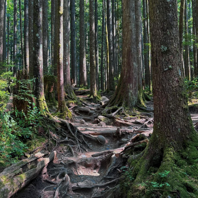Wallace Falls Hiking Guide – Seattle’s Scenic Trail 🏔️💦