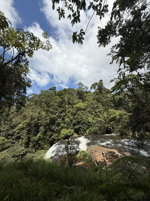 ケアンズ🇦🇺 アサートン高原の滝めぐり🌳💦