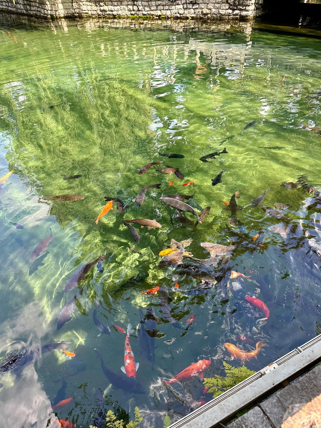 【趵突泉｜泉城的靈動清泉】