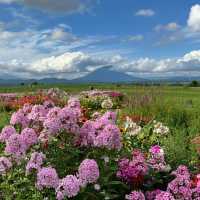 #Lake Hill Farm