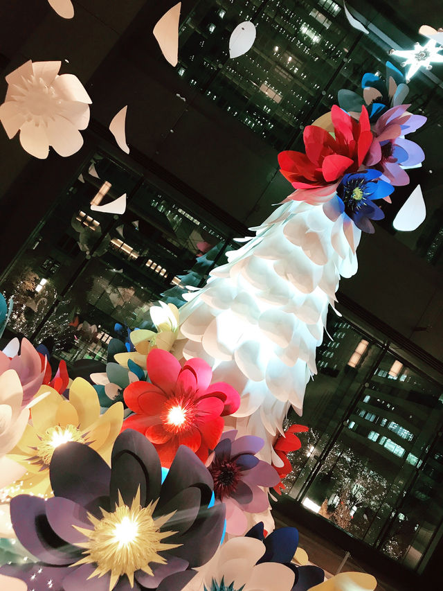 丸の内イルミネーション撮影コツと郷土料理おすすめ店 丸の内イルミネーション撮影コツと郷土料理おすすめ店
