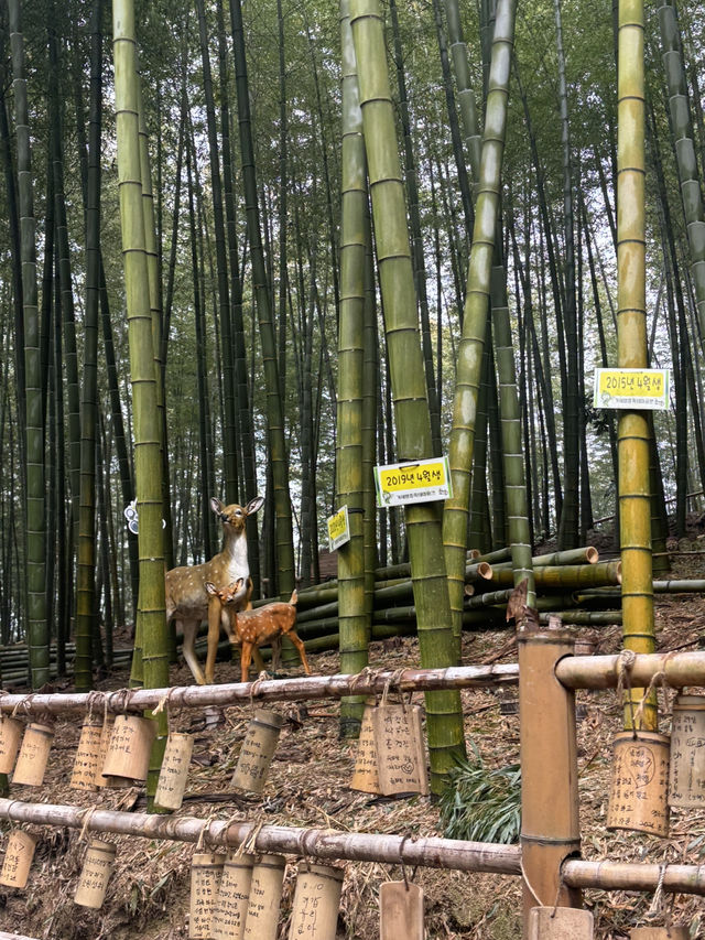 거제맹종죽테마파크