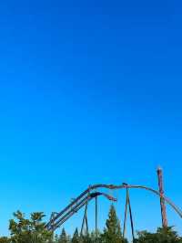 🌙✨역사 속 밤빛과 놀이의 하루, 경주 동궁과월지 & 경주월드🌸🎢