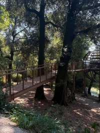 Admiring Art and Elegance at Villa Valmarana ai Nani