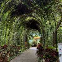 คาเฟ่ ภูเก็ต