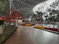 Speed Meets Art🚗! Ferrari world, amazing for car lovers!!