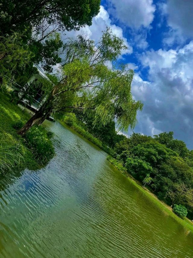 🌳 Century Park – Shanghai’s Green Oasis🌿 🌳 Century Park – Shanghai’s Green Oasis🌿