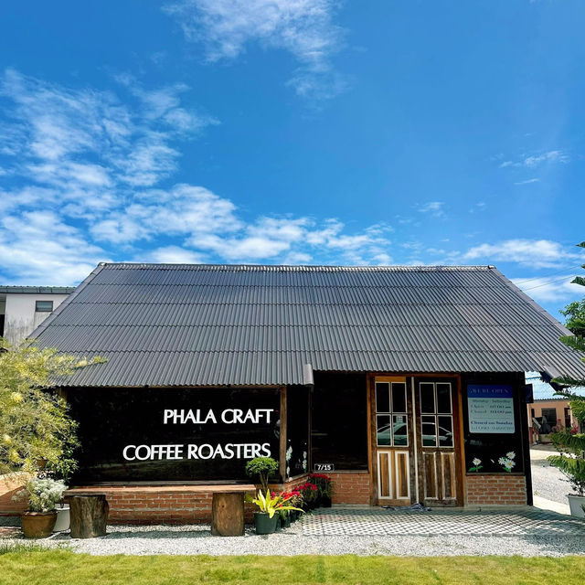 📍 Pachana x Phala Craft Coffee Roasters 🫶🏻🌿