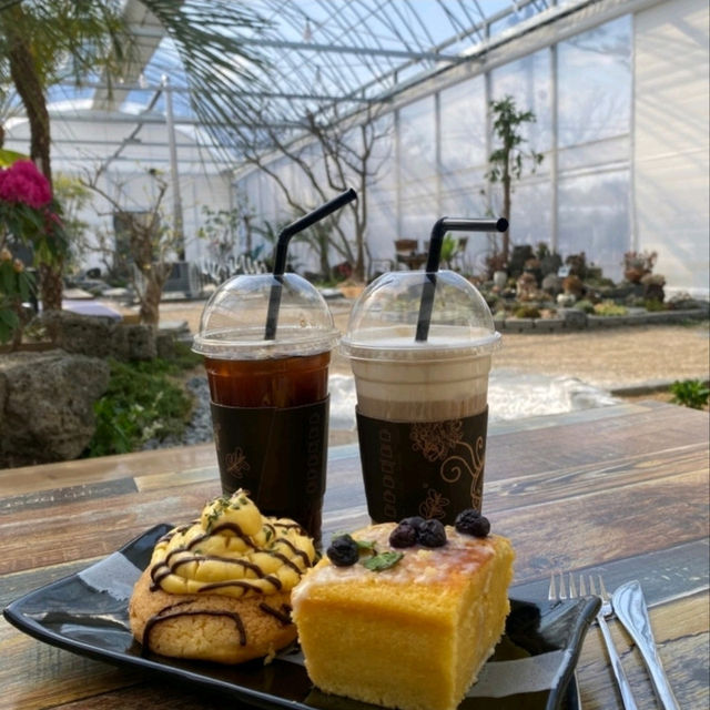 카페 속 정원에서 커피 한잔, 커피와유☕