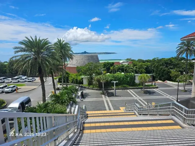 🌴🐬 รีวิว Ocean Expo Park – Okinawa 🐬🌴