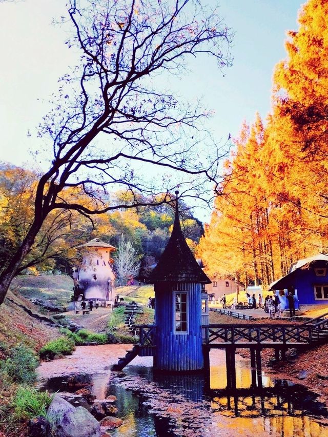 紅葉のムーミンバレーパーク、トーベ・ヤンソンあけぼの子どもの森公園と角川武蔵野ミュージアムを楽しむ一泊二日