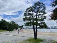 🏝️漫步於台場海濱公園✨🎣日本東京旅行回顧