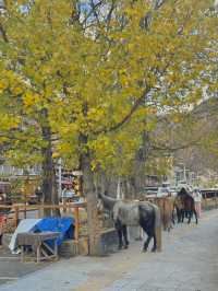 เมืองสี่ดรุณี Siguniang Town
