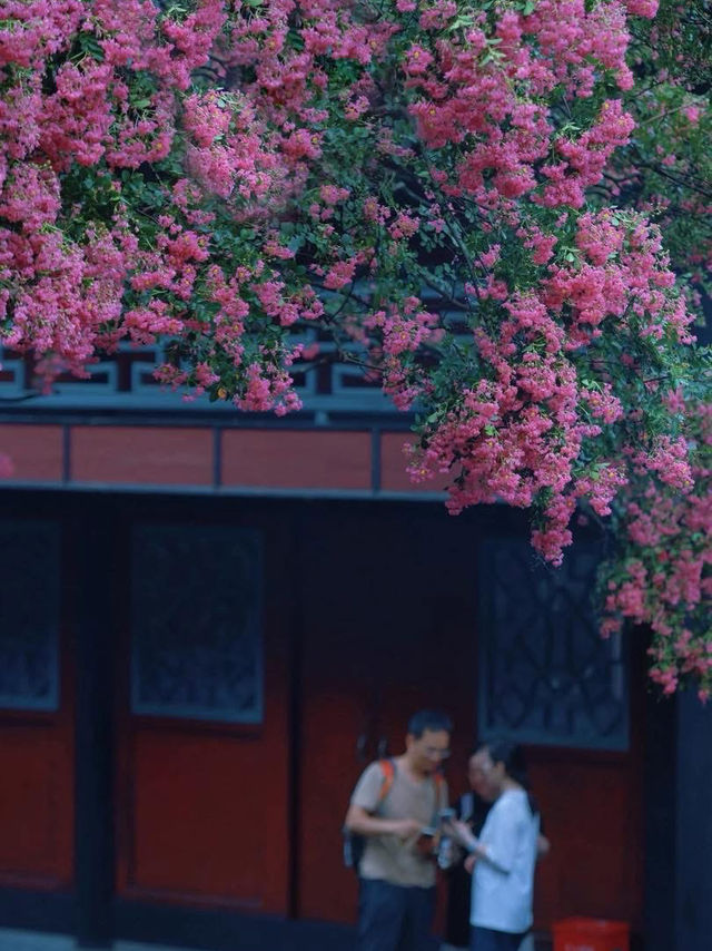 🌸 Dujiangyan – A Thousand-Year Symphony of Purple Blossoms 🌸