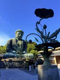 鐮倉｜經歷海嘯變露天大佛 鐮倉大佛曾被詩人比喻成美男子