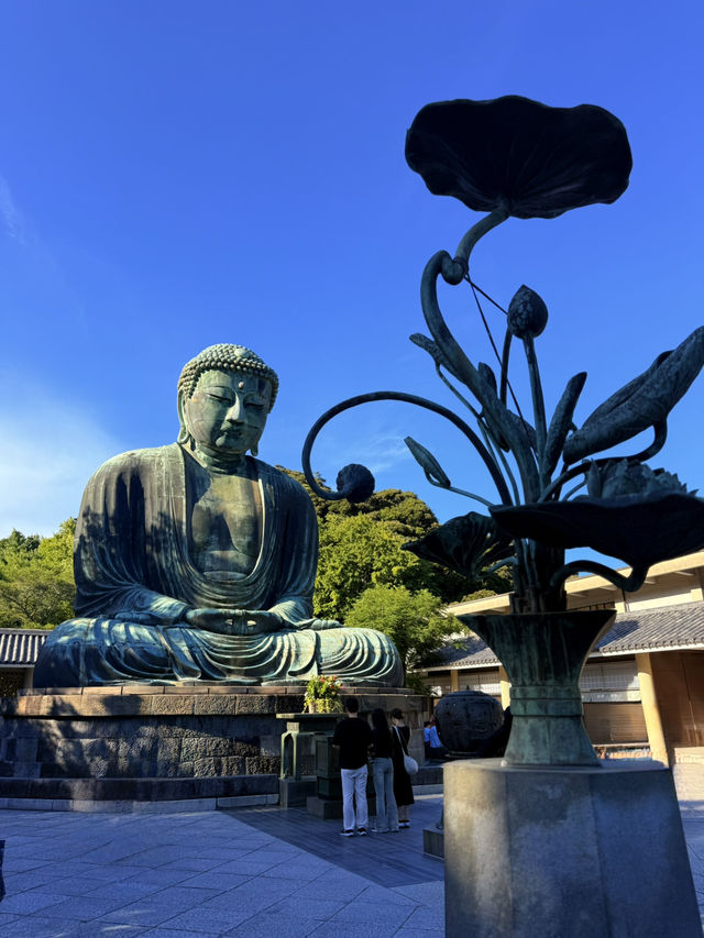 鐮倉｜經歷海嘯變露天大佛 鐮倉大佛曾被詩人比喻成美男子