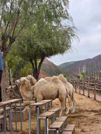 Что посмотреть в Китае - Shui Mo Danxia скрытая жемчужина Ланчжоу