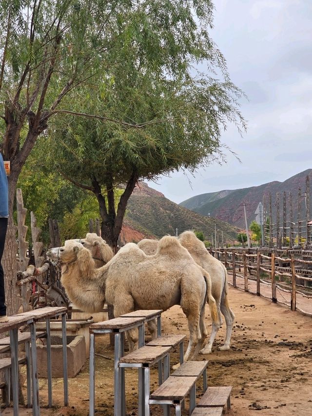 Что посмотреть в Китае - Shui Mo Danxia скрытая жемчужина Ланчжоу