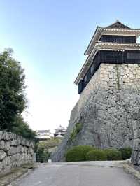 江戸時代以前の天守が残る松山城 