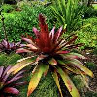 Auckland Botanic Gardens