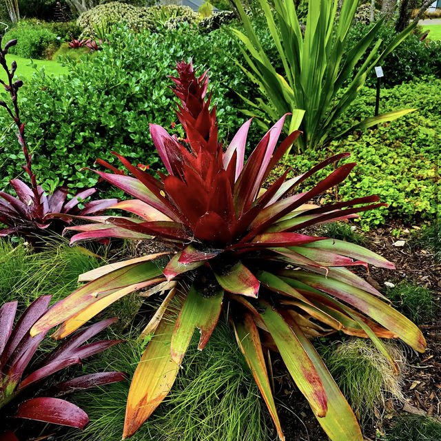 Auckland Botanic Gardens