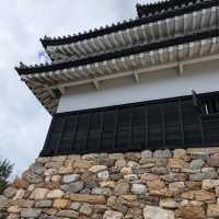Inuyama Castle