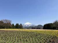 鳥取花廻廊