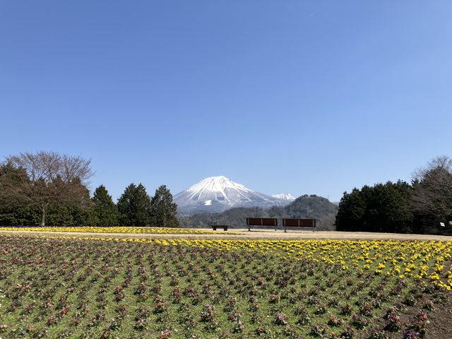 鳥取花廻廊