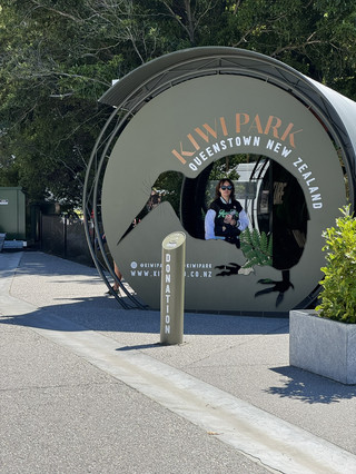 [Queenstown] Experience New Zealand's nature at Kiwi Park Queenstown 🪺🌏