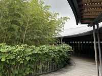 生簀ランチから牧野植物園へ🌿　高知旅