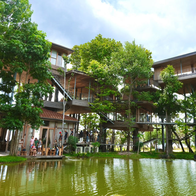 บ้านต้นไม้อวดชุม คาเฟ่บ้านไม้ริมทะเลชุมพร