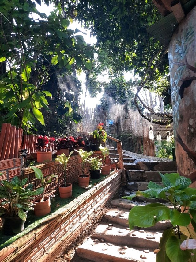 🌳 "บ้านต้นไม้" ที่พักและคาเฟ่สุดชิลล์ในเชียงดาว