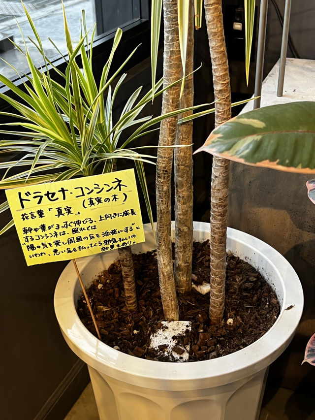 長野・MARUSAN Cafe｜花に囲まれたセンス光る癒しのカフェ体験
