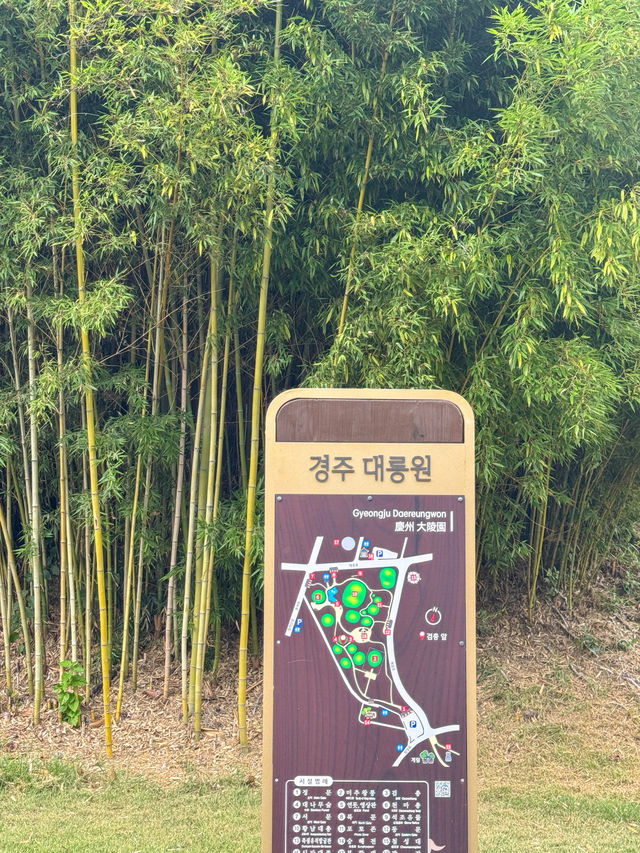 경주 여행 필수코스 ‘대릉원’