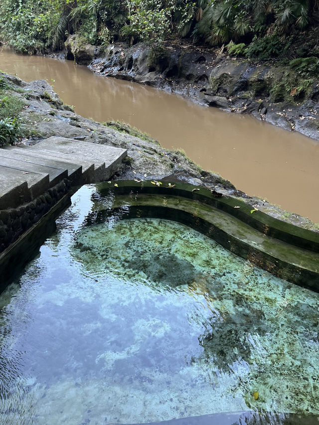 ๐ Hidden Gem in Bali โ Kemenuh Monkey River ๐ Hidden Gem in Bali โ Kemenuh Monkey River
