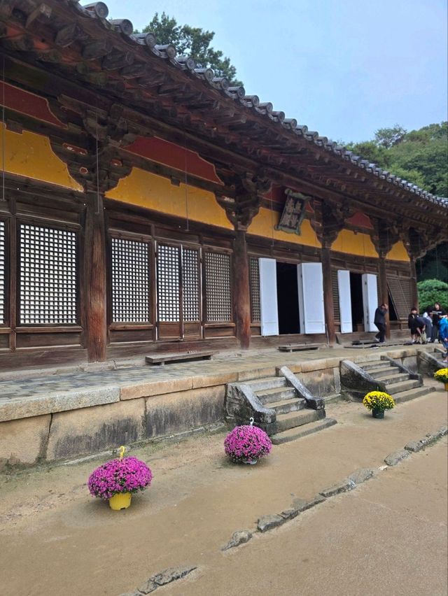 역사의 아름다움이 고스란히 담겨있는 영주여행지🧡