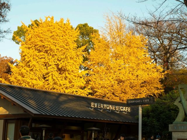 🍁 Autumn Whispers at Ueno Park