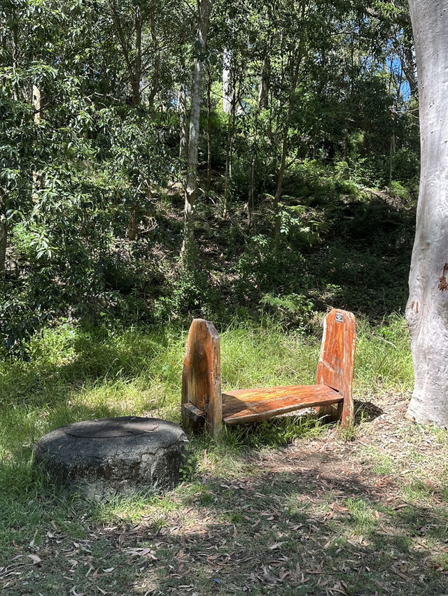 🌳 探訪「總理森林步道Prime Ministers’ Walk」：城市中的森林漫遊