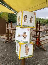 宜蘭親子旅遊景點 斑比山丘 小型動物園體驗