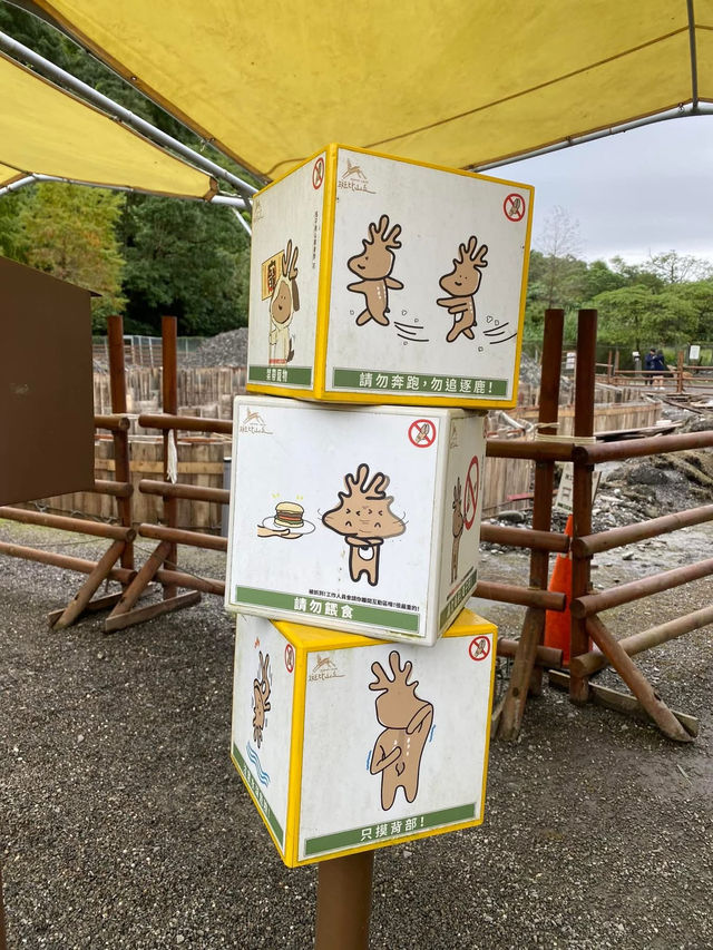 宜蘭親子旅遊景點 斑比山丘 小型動物園體驗