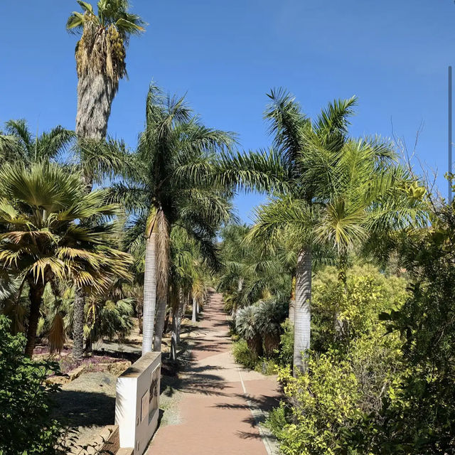 Jardín Botánico Histórico La Concepción