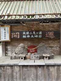 海風、白鳥居、龍貓的足跡：我在糸島尋找治癒系的藍