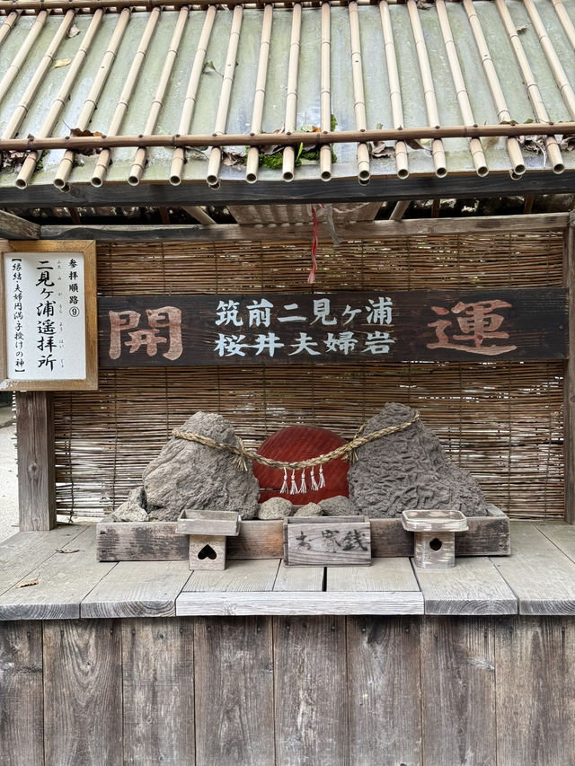 海風、白鳥居、龍貓的足跡：我在糸島尋找治癒系的藍